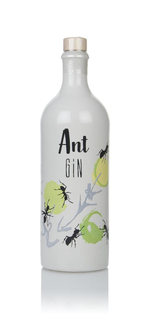 Ant Gin