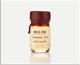 Hedonism Sample Dram