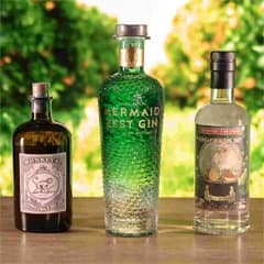 Gin