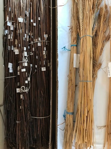 The Oxford Artisan Distillery