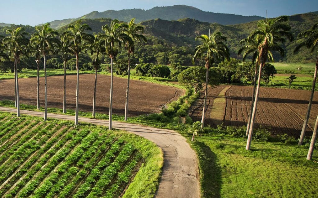 Hacienda Santa Teresa where the rum is made