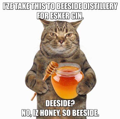 Esker gin competition