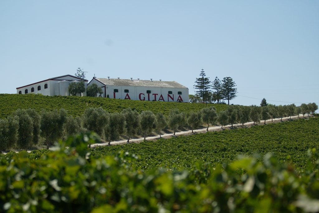 Bodegas Hidalgo La Gitana