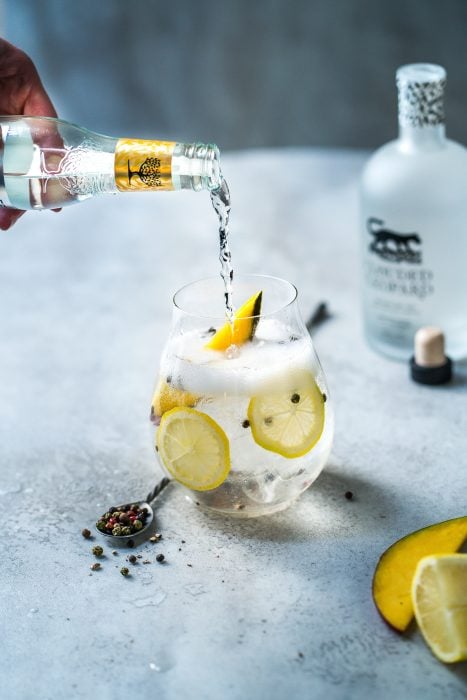 Clouded Leopard Gin and mango