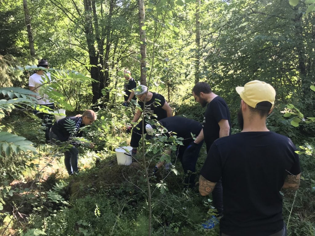 Foraging for botanicals at Kyro