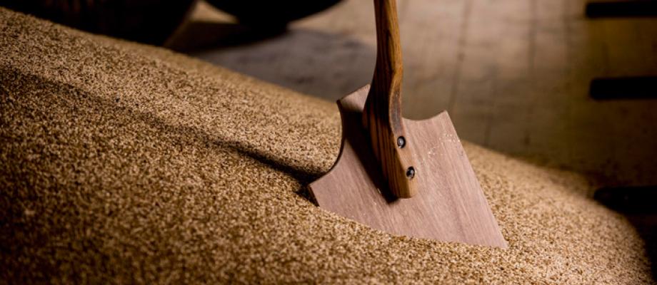 Malt shovel in action