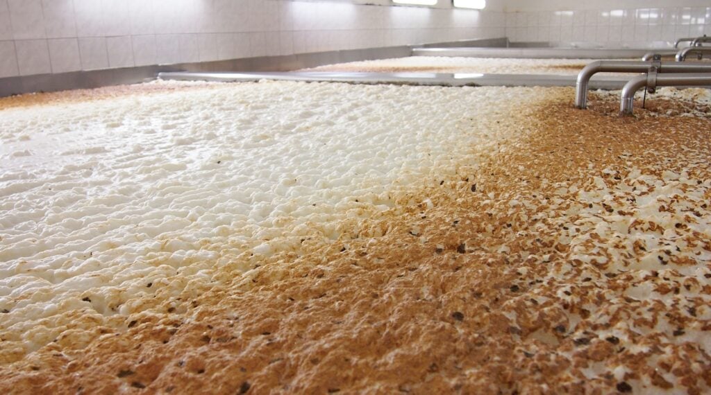 Yeast is required to make whisky