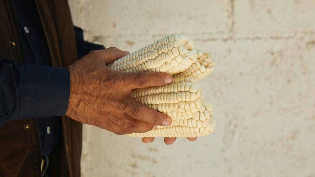 Abasolo Mexican Corn whisky