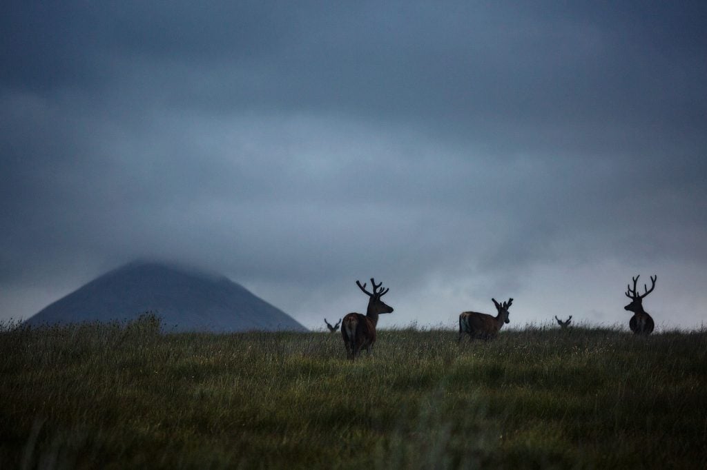 Jura whisky distillery