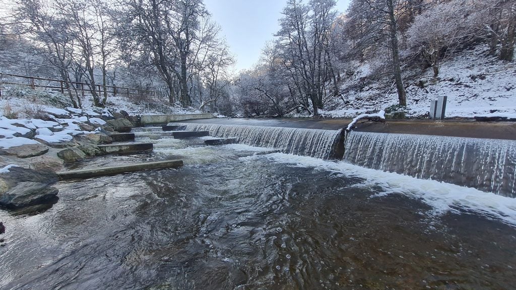 Glenfiddich vs Glenlivet