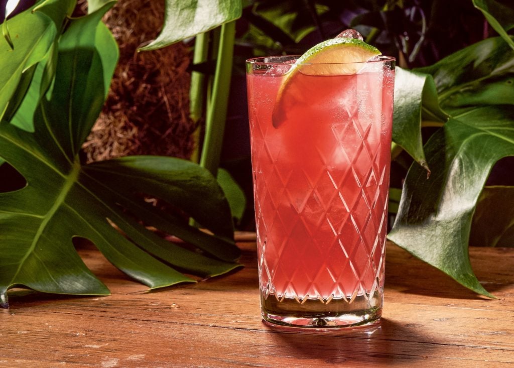 El Diablo cocktail great mezcal cocktails