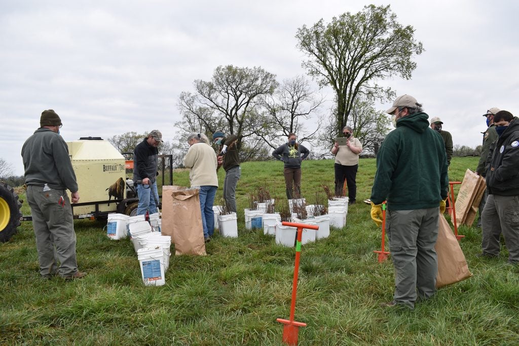 The Nightcap: 16 April Edition