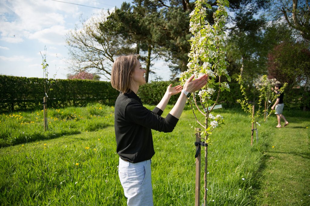sustainable distillery