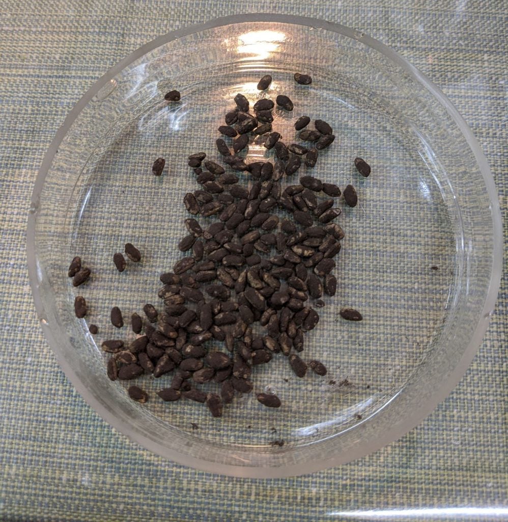 Koji used to make awamori