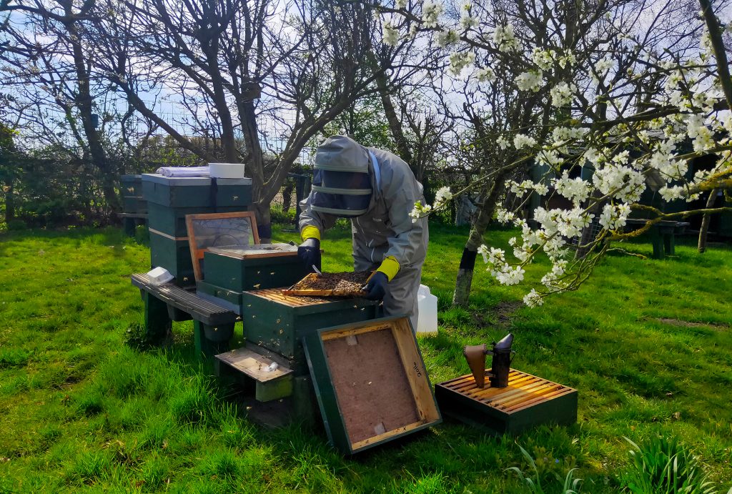 sustainable distillery