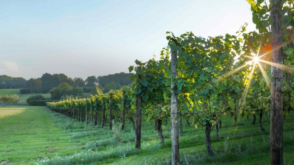 Hush Heath estate, Kent