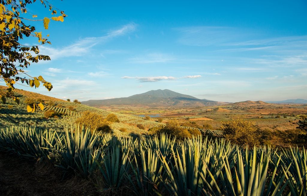 Volcan De Mi Tierra Tequila