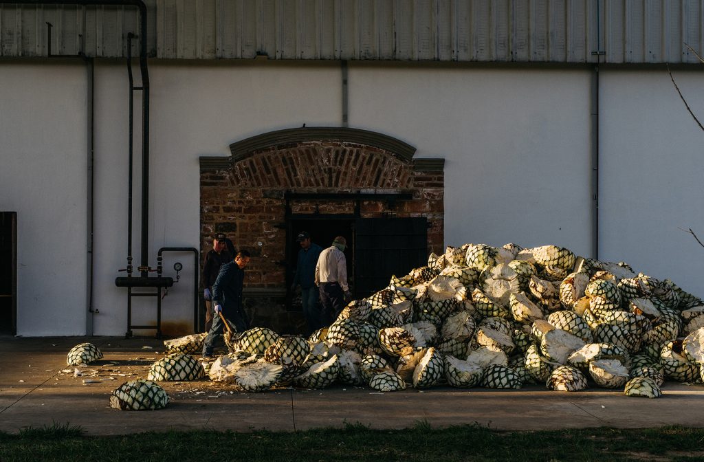 Volcan De Mi Tierra Tequila