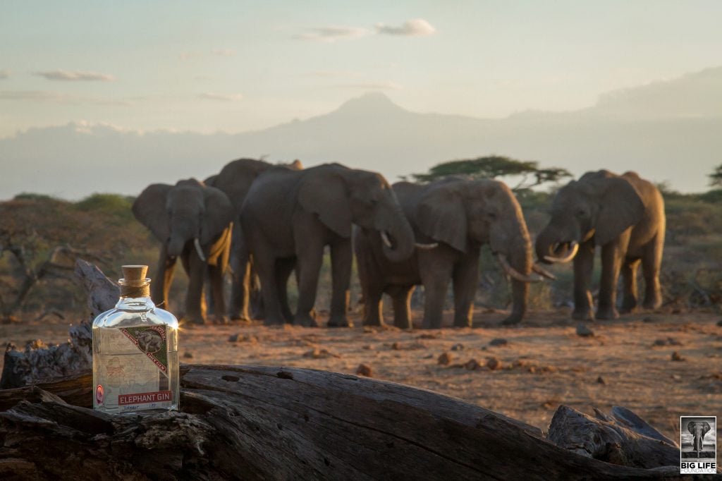 Elephant Gin