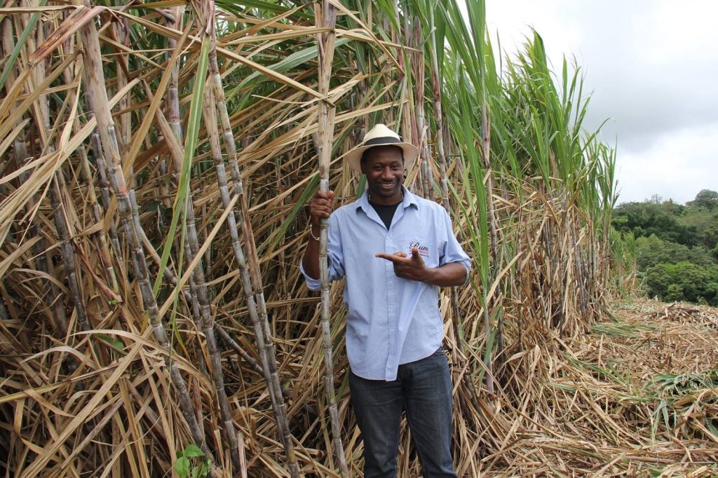 The Nightcap: 26 November