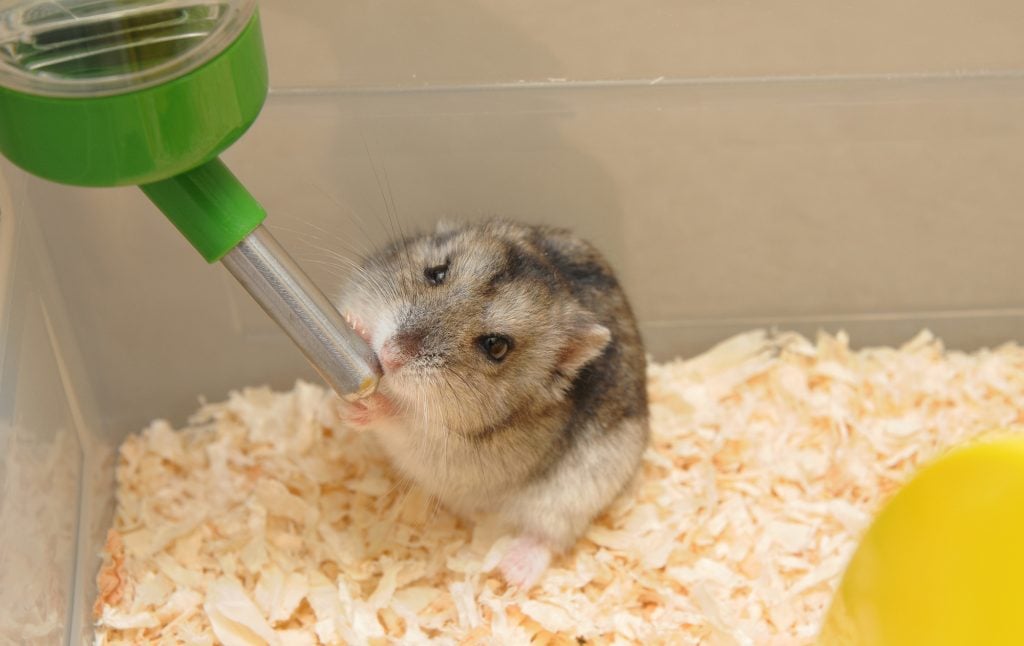 The Nightcap: 21 January