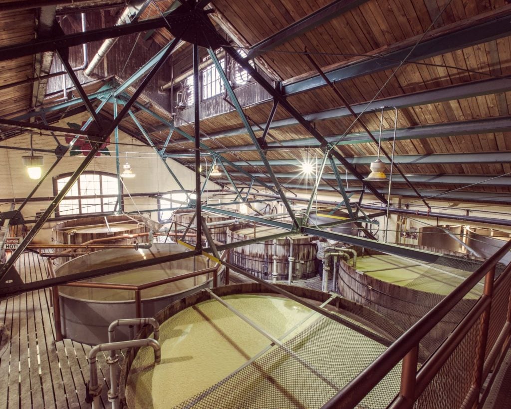 Four Roses fermenting