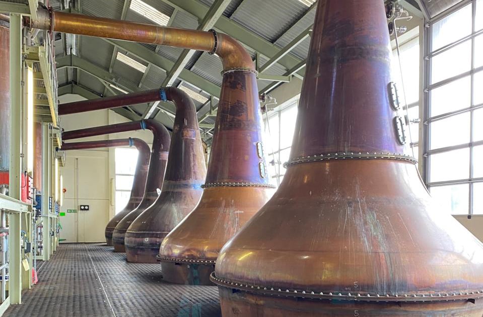 Mannochmore Distillery