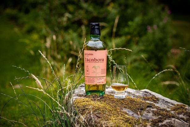 0_Ad-Gefrins-Tcnbora-c-Lazy-Grace