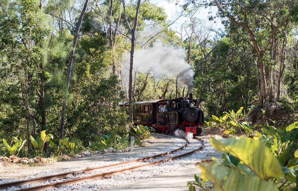 St. Nicholas Abbey train
