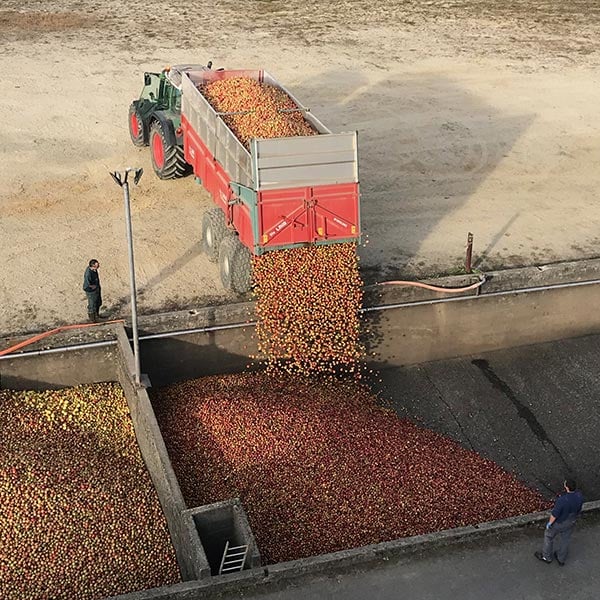 Apples at Coquerel Calvados
