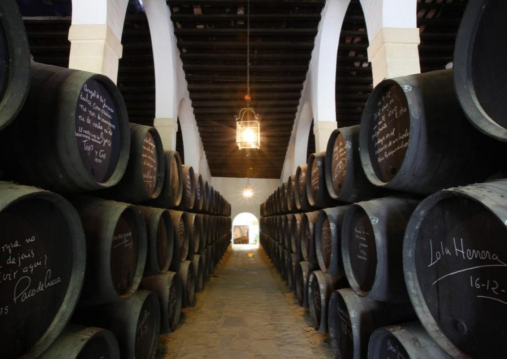 Gonzalez Byass bodega in Jerez