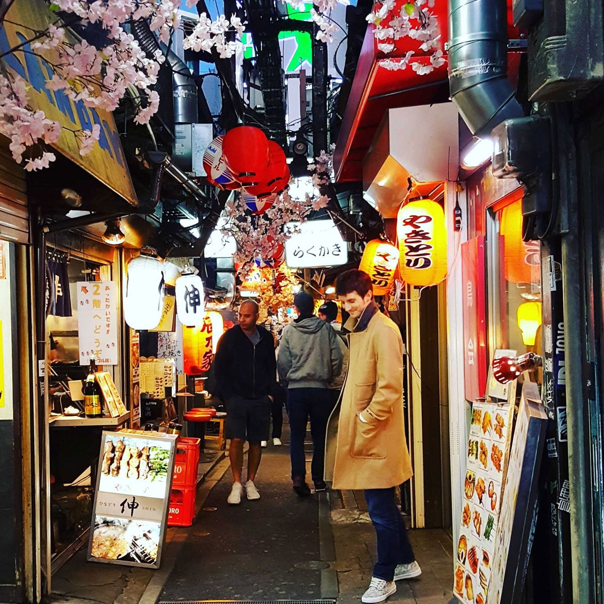 Jake Mountain in Omoide Yokocho