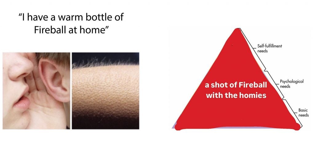 Memes made about Fireball Cinnamon Whisky Liqueur