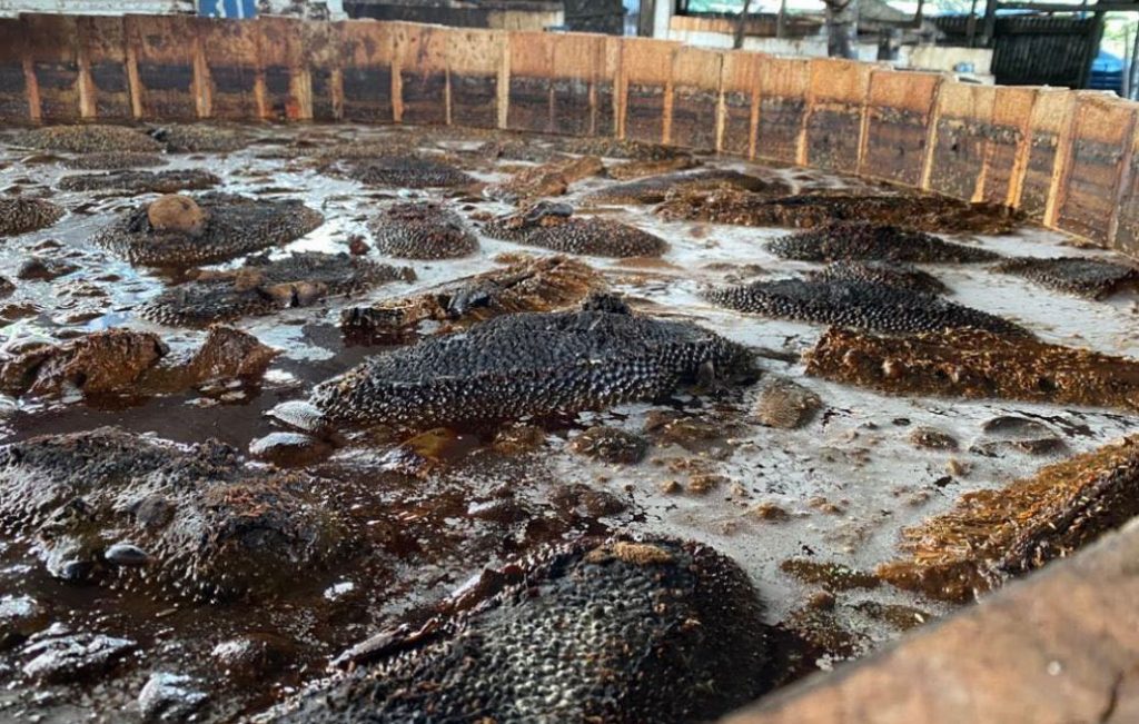 Black Tot Fermentation Tank