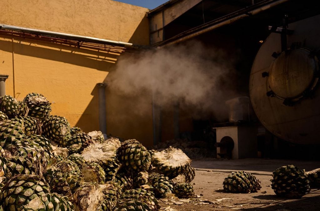 Agave at Don Fulano's La Tequileña distillery