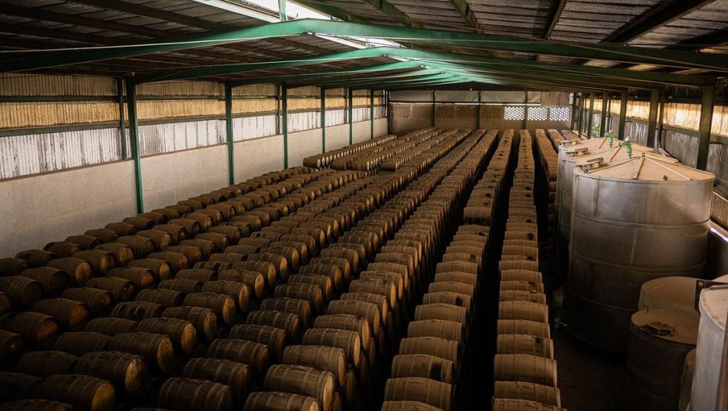Tequila maturing at Don Fulano's warehouse