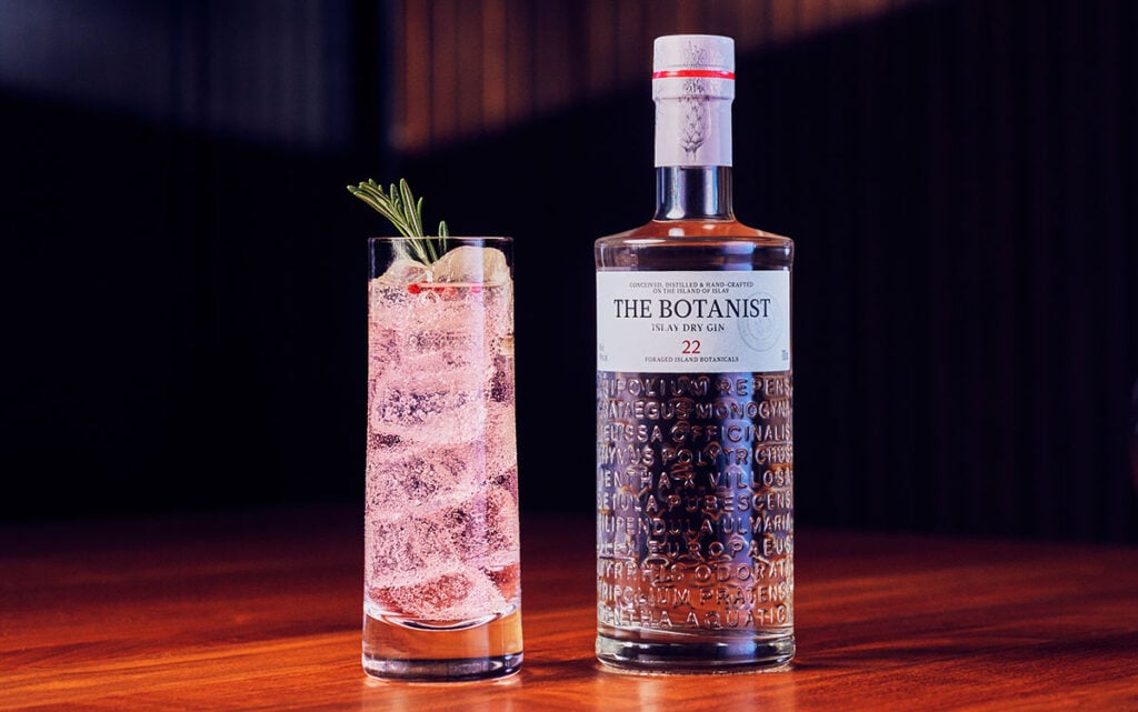 Christmas Gin & Tonic