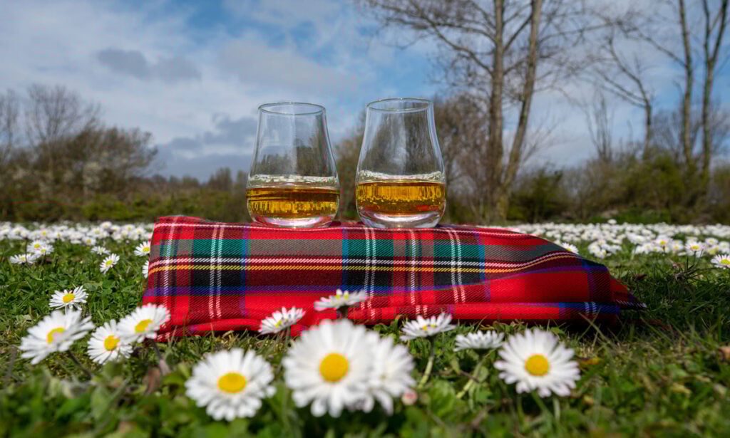 Scotch whisky for Burns Night