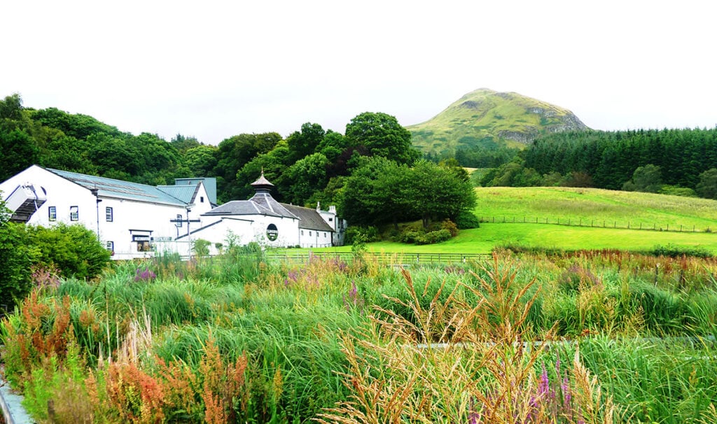 The Glengoyne Distillery is the first in Scotland to introduce wetlands for managing 100% of liquid waste