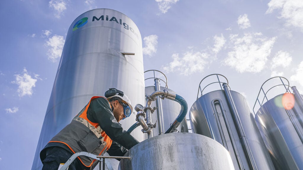 Eden Mill has partnered with Scottish biotech company MiAlgae to repurpose whisky effluent to grow Omega-3-rich microalgae. 