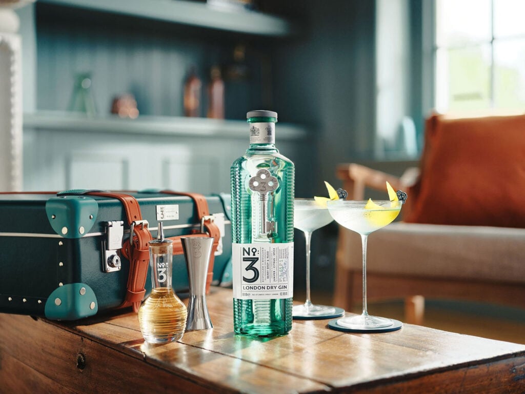 Top 10 Gins for the ultimate Martini