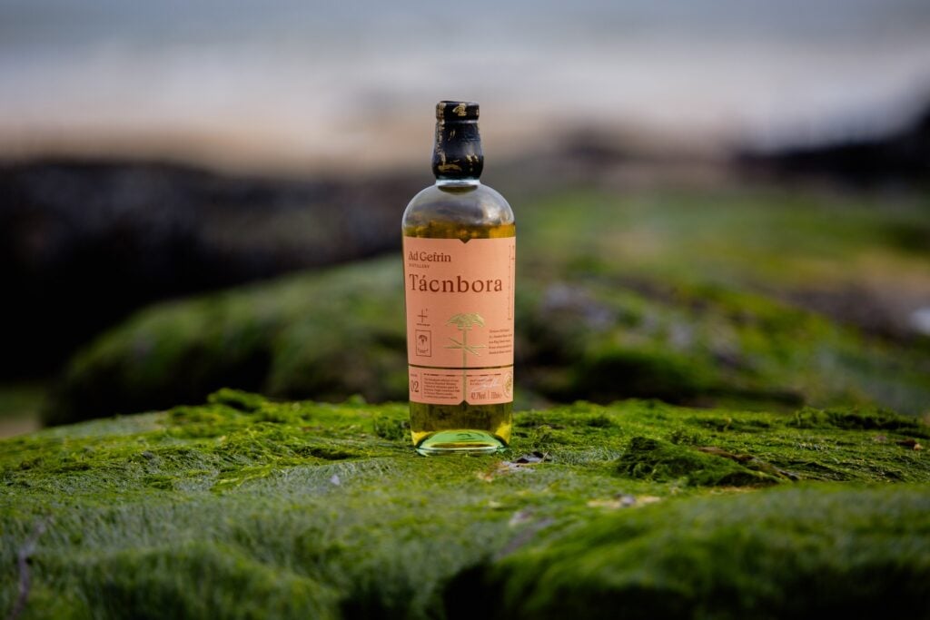 Ad Gefrin launches Tácnbora Cognac Finish Whisky