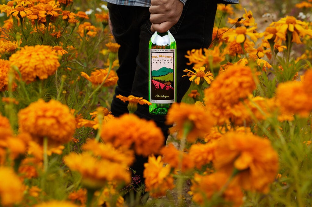 Del Maguey Chichicapa