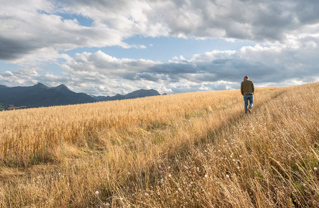 Fields of barley at Hautes Glaces, the French producer that proritises provenance in whisky