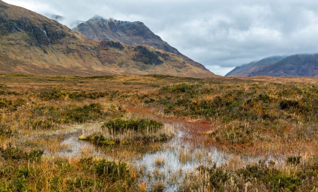 Scotland Peat Bog