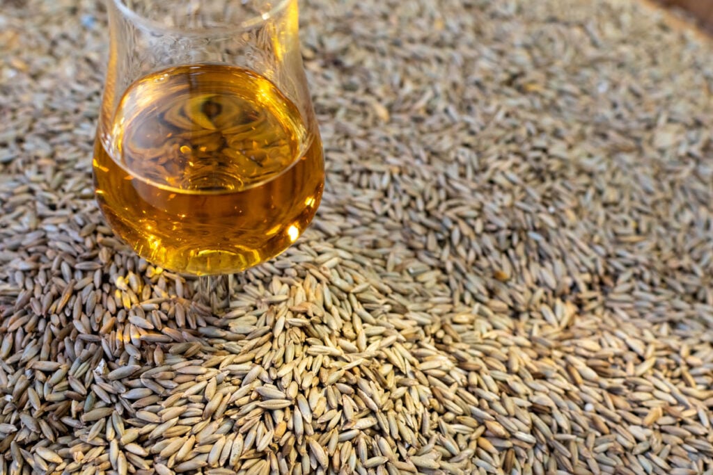 A glass of rye whisky atop a pile of rye grains