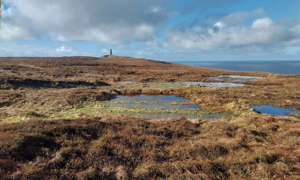 Peatland habitat on The Oa