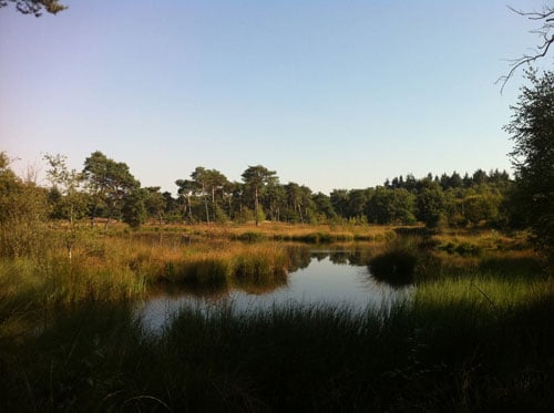 Maltstock 2012 whisky view