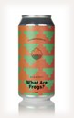 Cloudwater What Are Frogs?