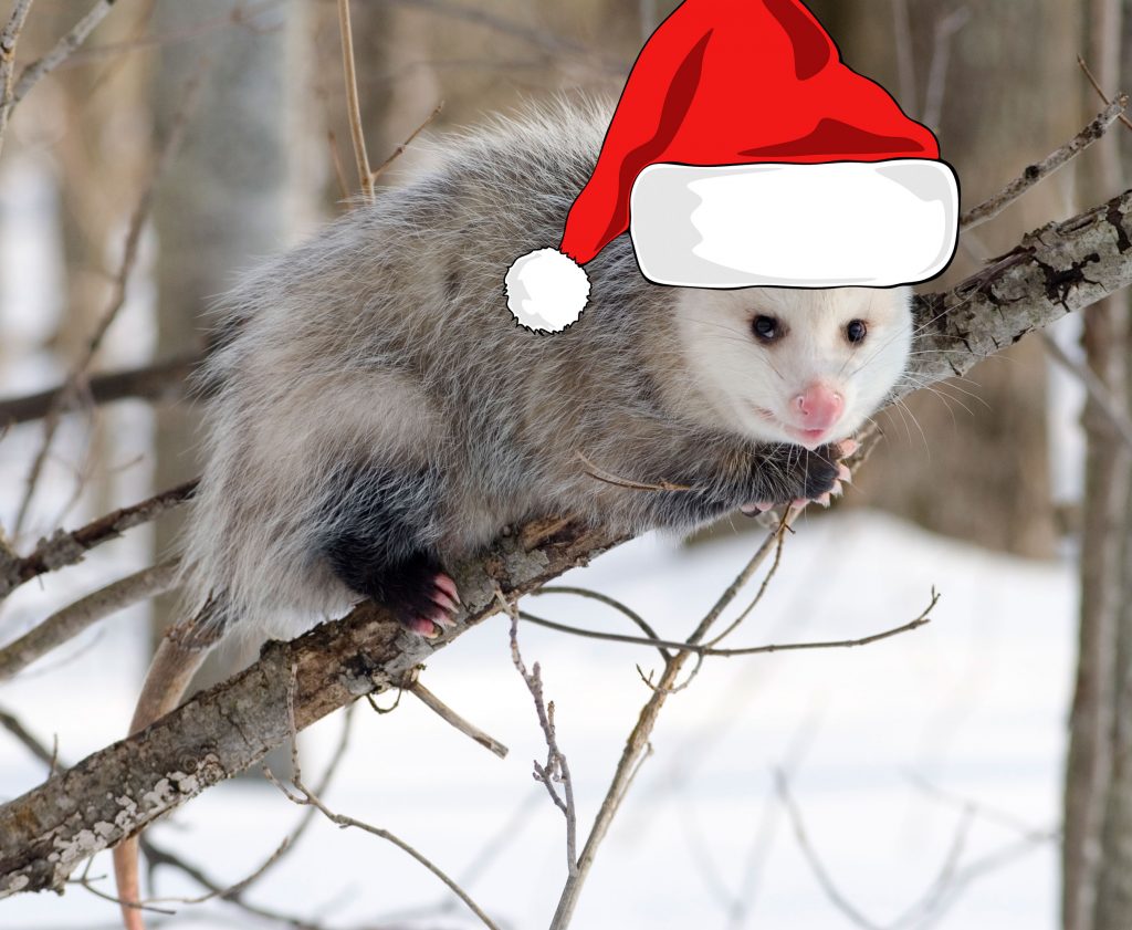 Christmas gift guide